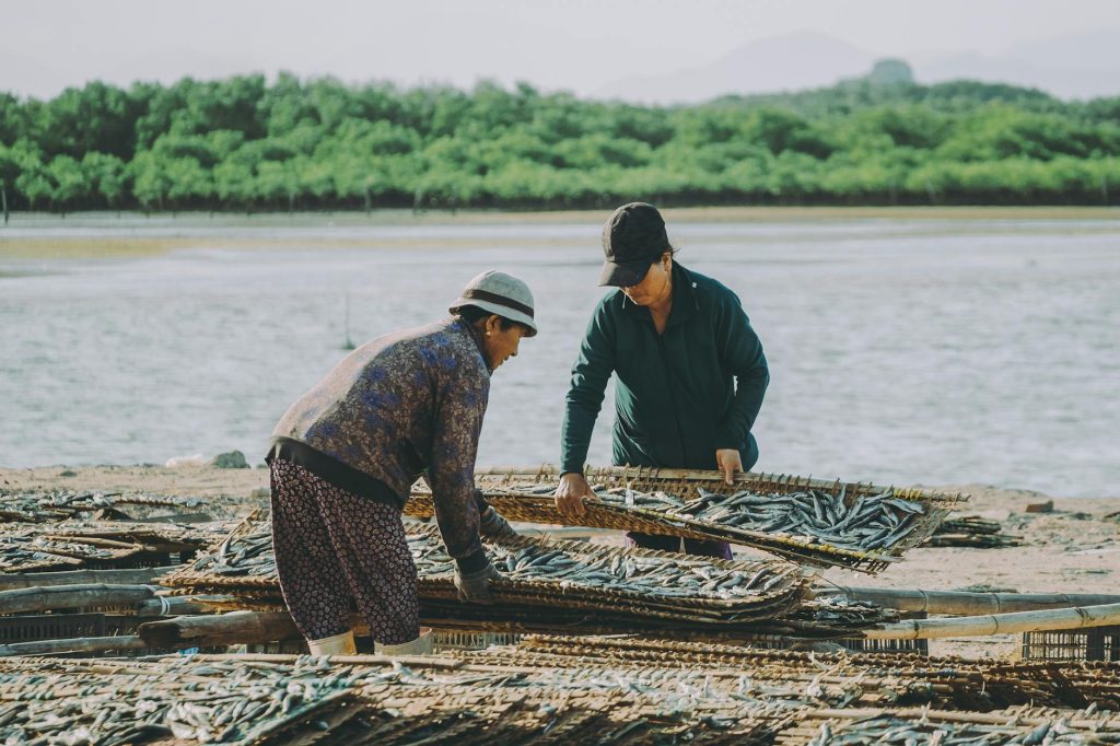 Two people drying fish by the sea in Quy Nhơn, capturing Vietnam's local lifestyle.