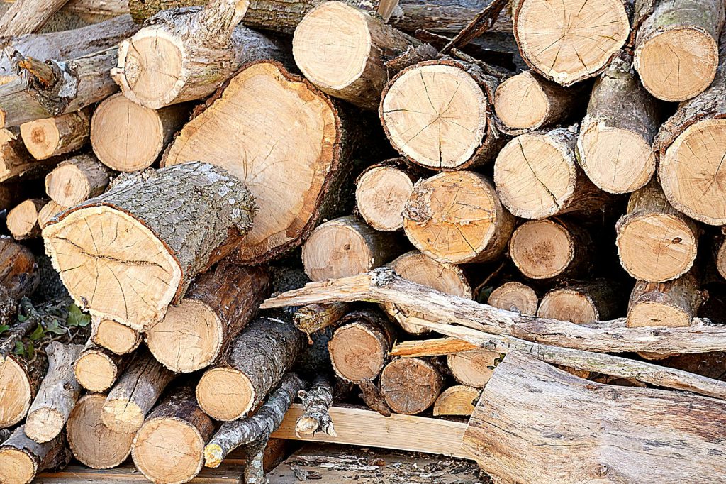 Close-up of stacked chopped logs ready for burning or construction use.