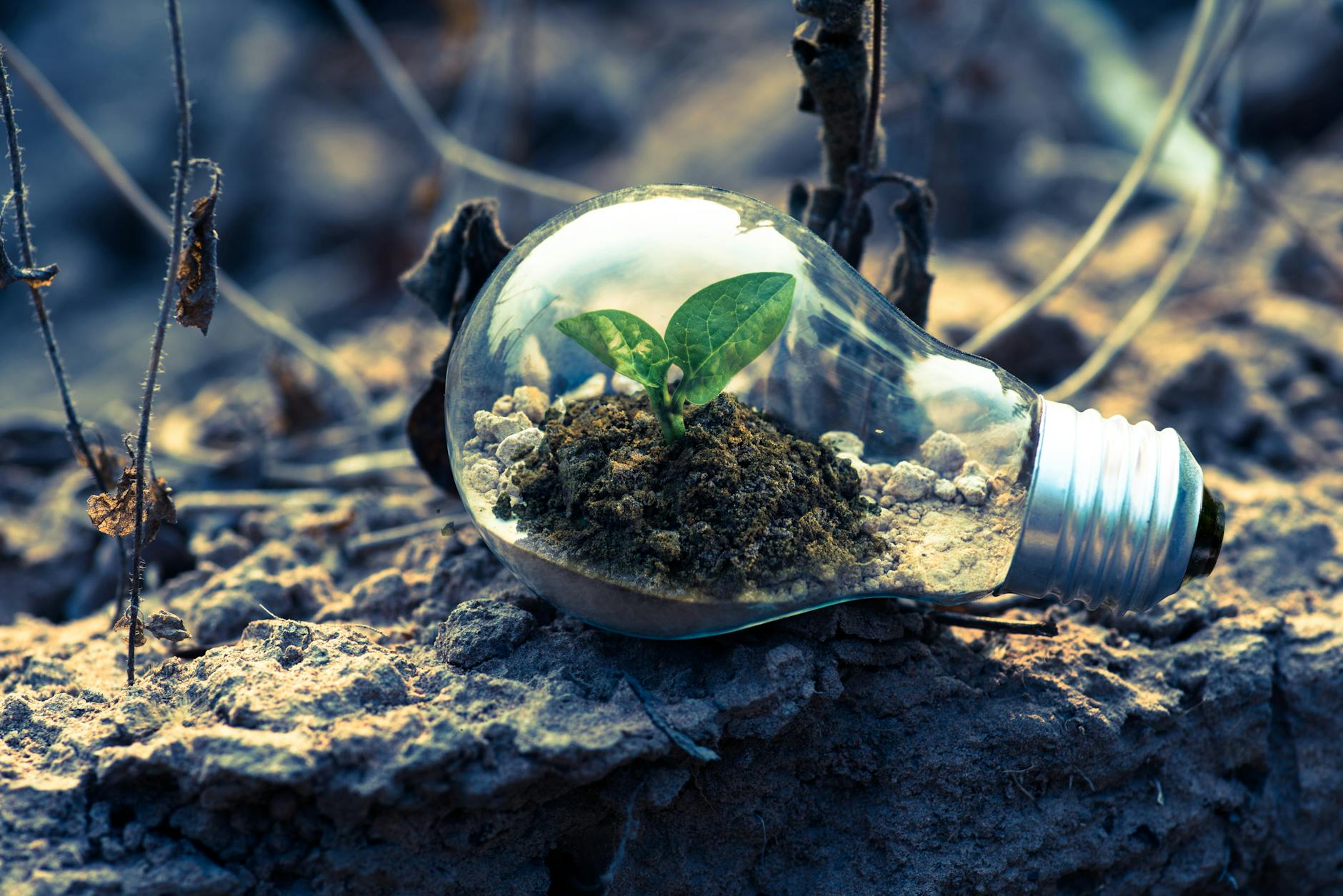 Unlocking the Secrets of the Environment: How Innovation is Key to Sustainability