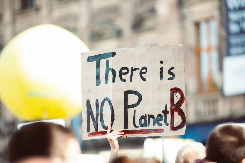 Protest sign at climate change rally reading 'There is no Planet B'.