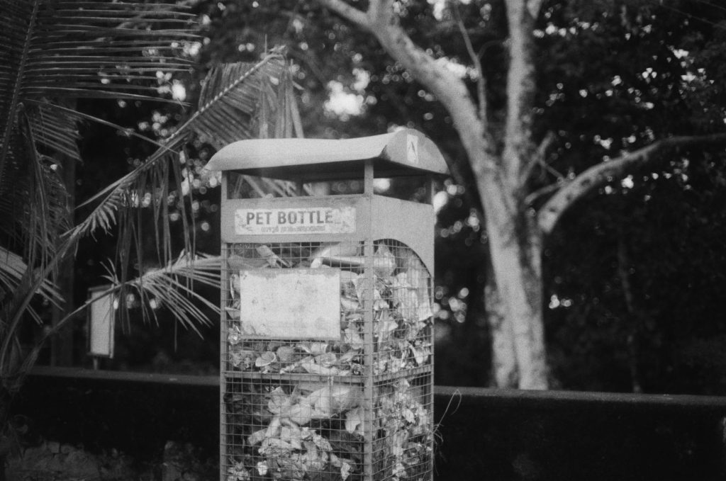 Shot on canon at-1 with Fomapan 400 Film