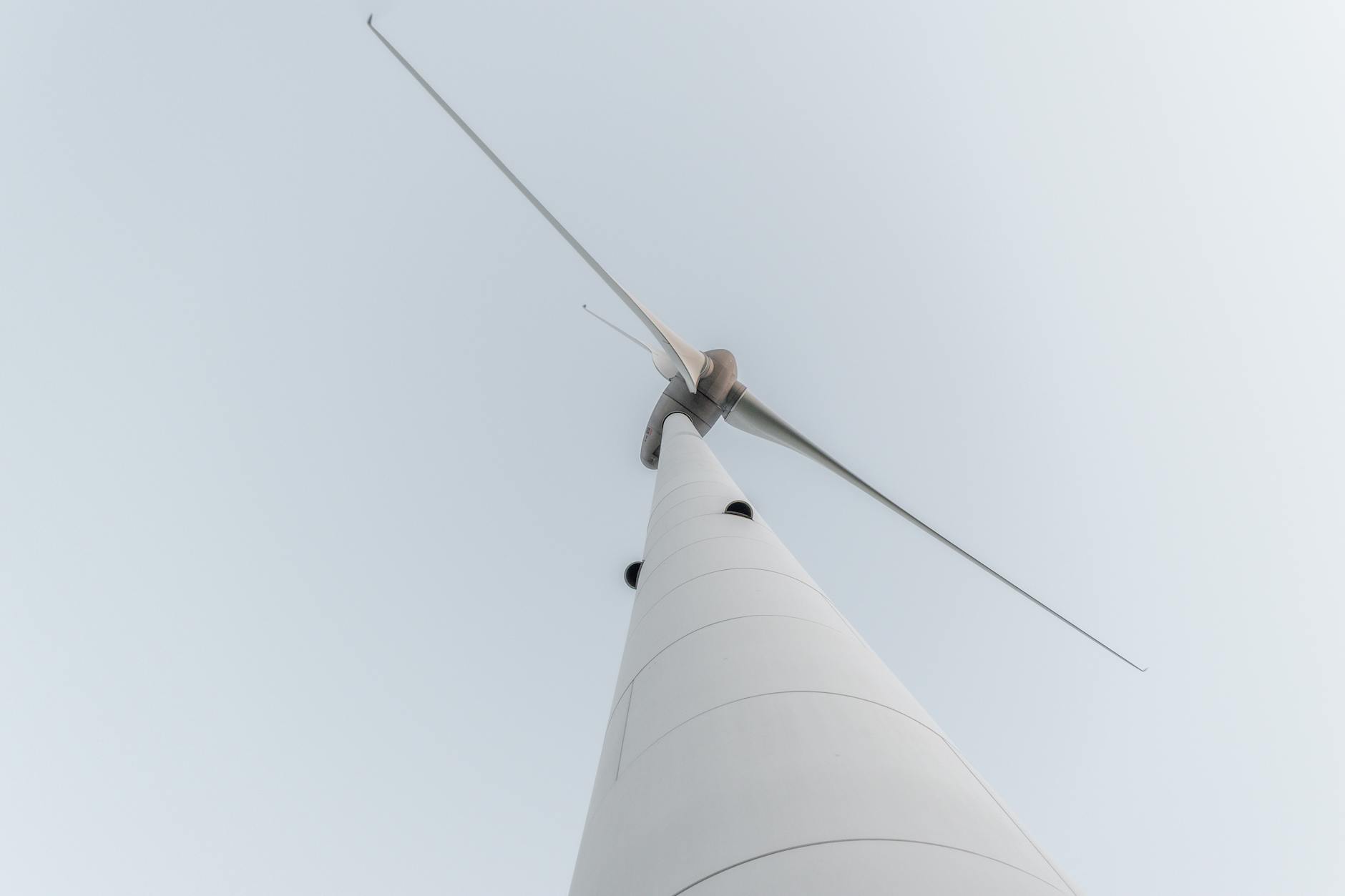 Sustainable Living: How Technology is Shaping a Greener Future