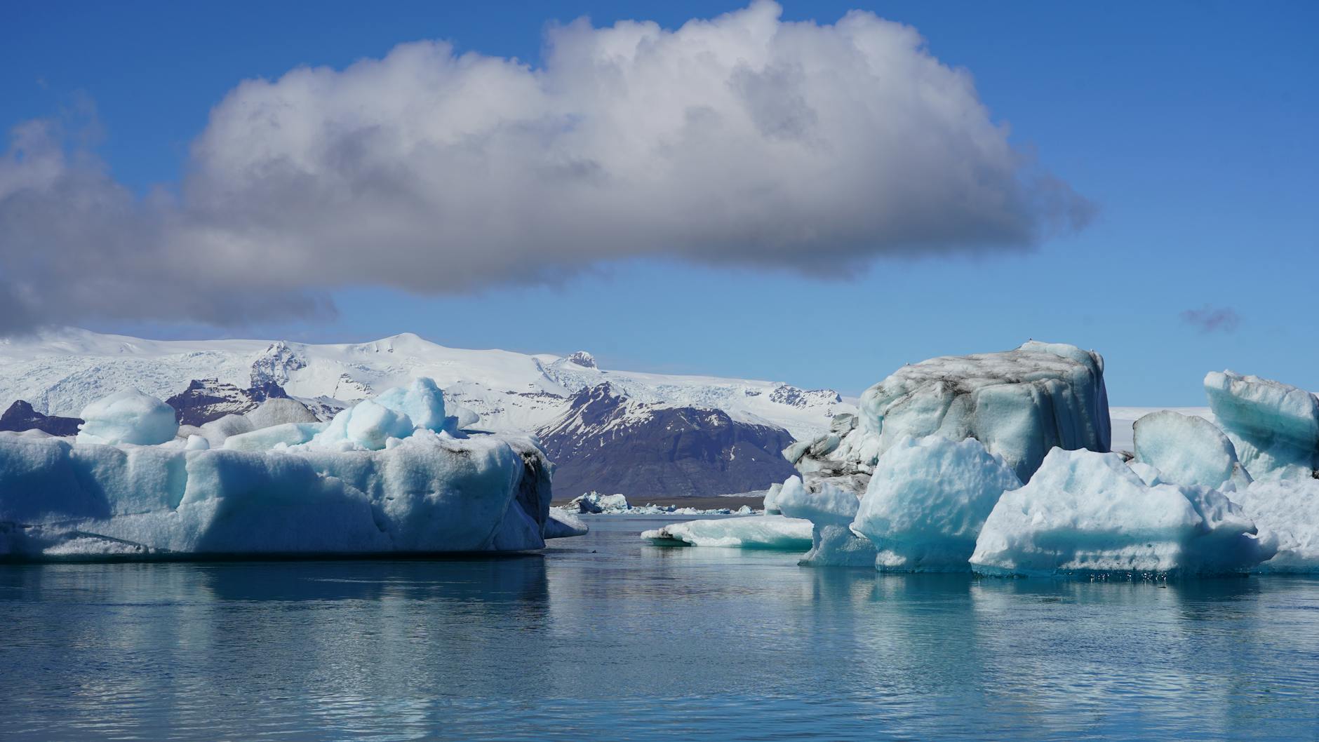 Breaking Down the Latest Environmental News: Updates on Climate Change and Conservation Efforts