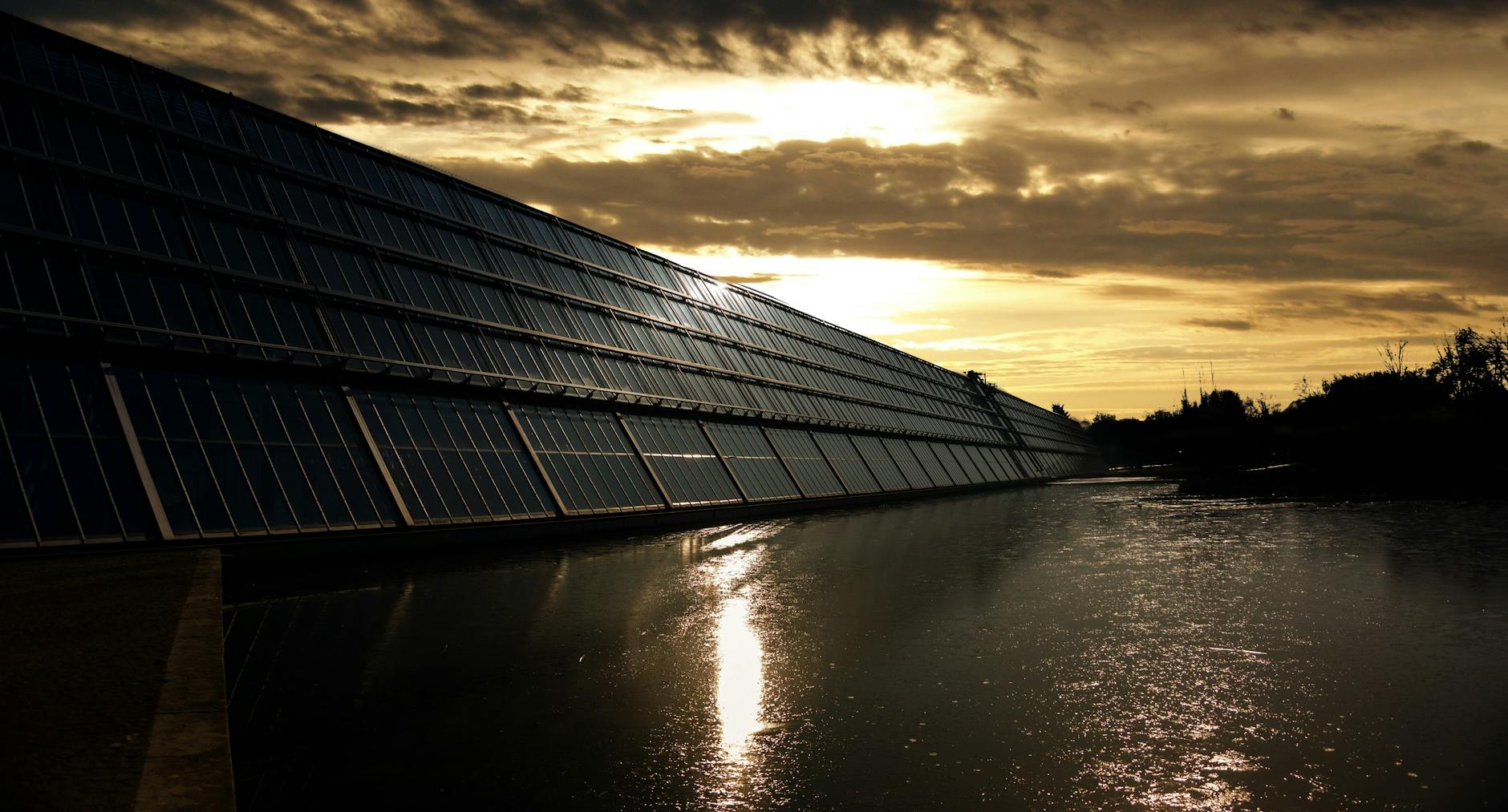 Investing in a Sustainable Future: How the Environment and Economy go Hand in Hand