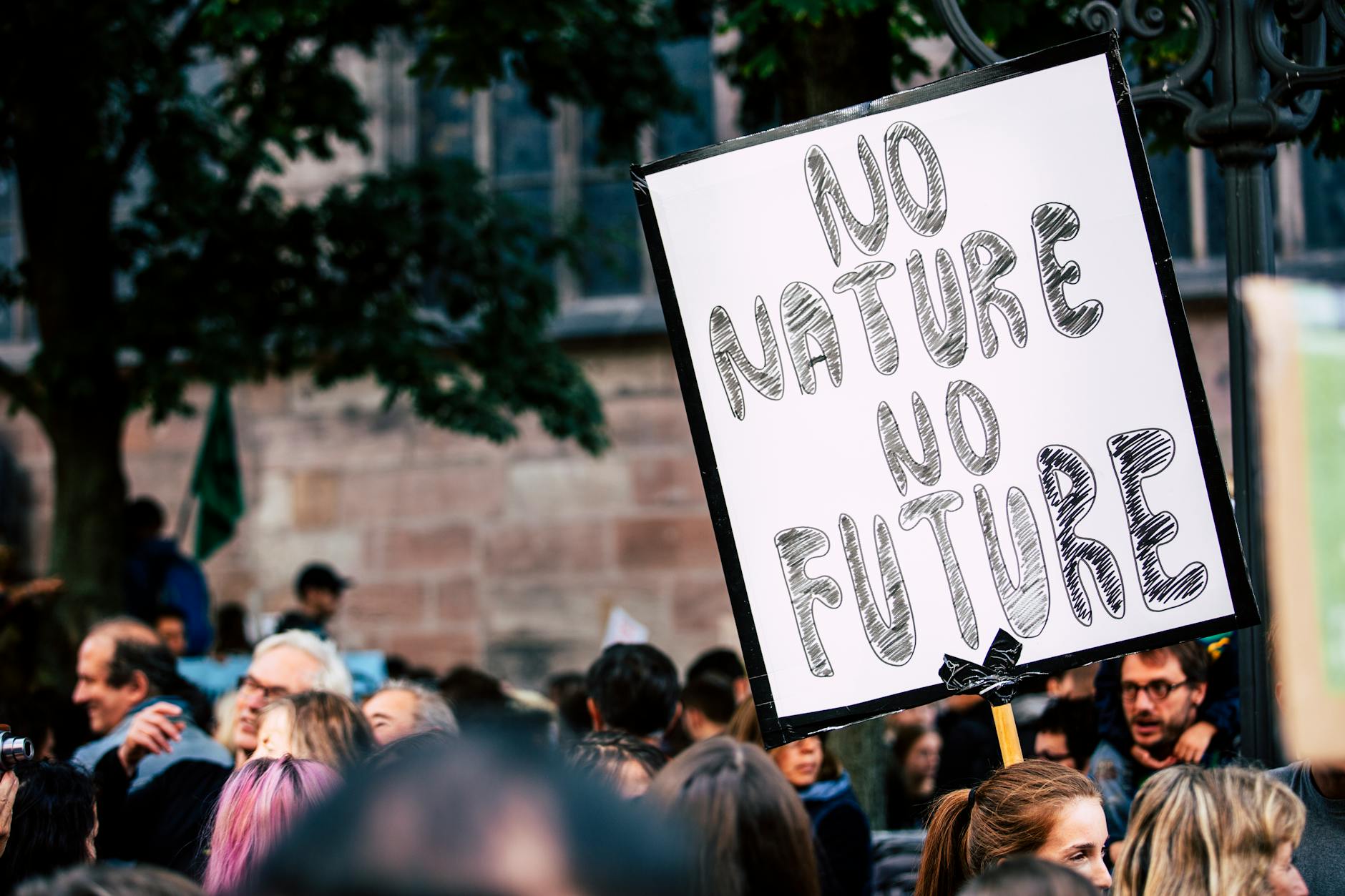 Greening the Globe: How Environmental Initiatives are Making a Positive Impact