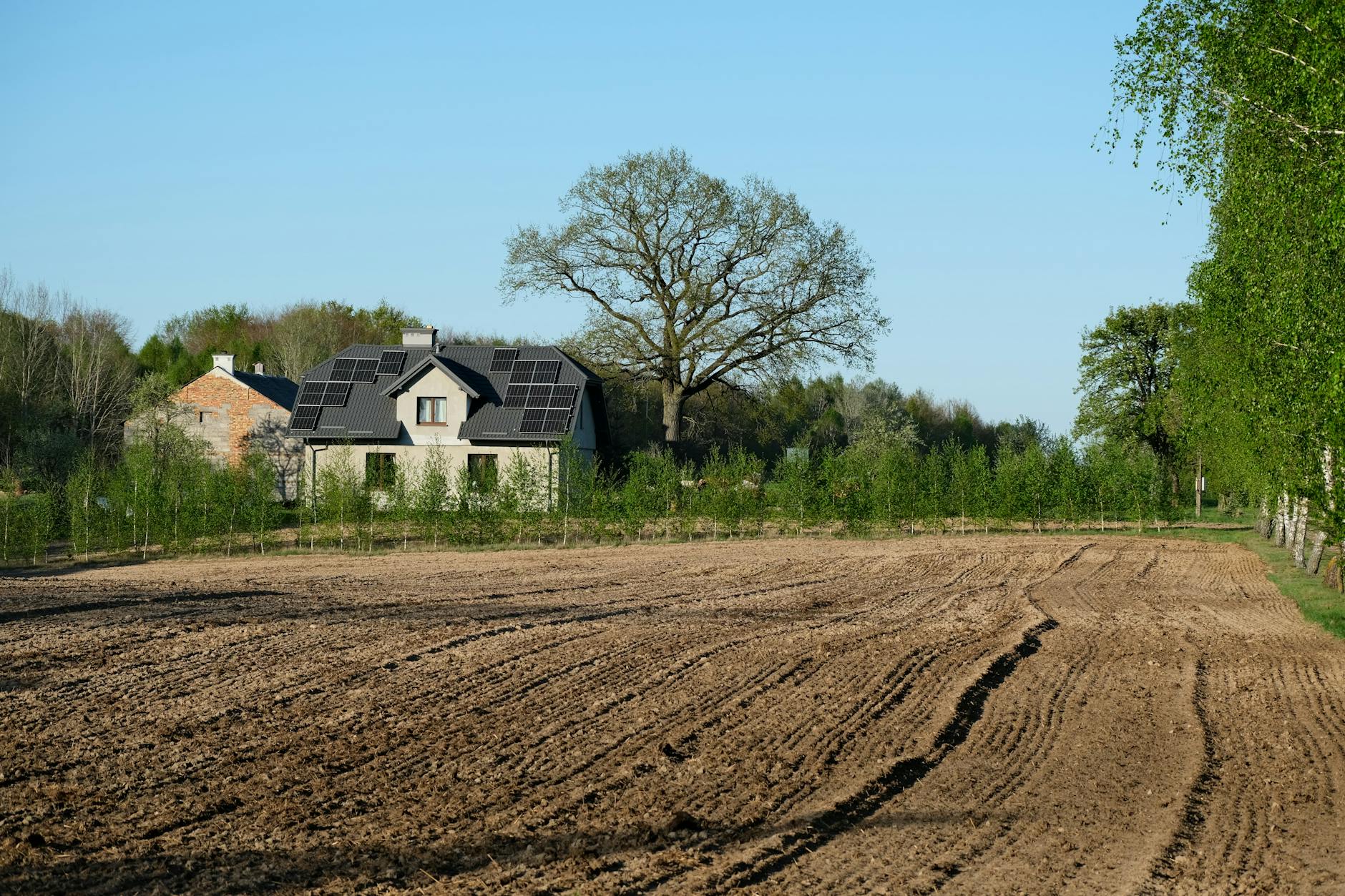 The Green Revolution: The Intersection of Technology and the Environment