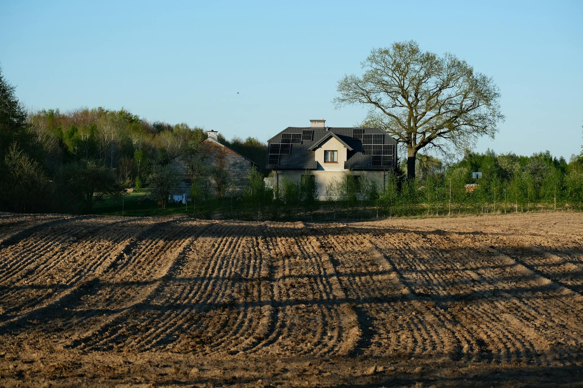 Green Living: How You Can Help the Environment in Your Everyday Life