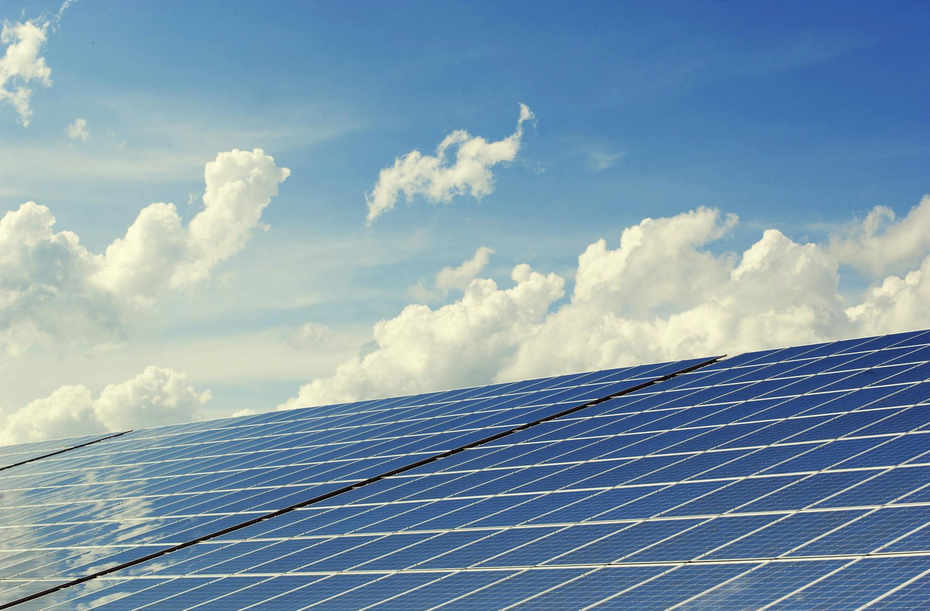 Sustainable Solutions: Saving the Environment One Step at a Time