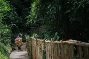 Him, Forest, Kerupuk
