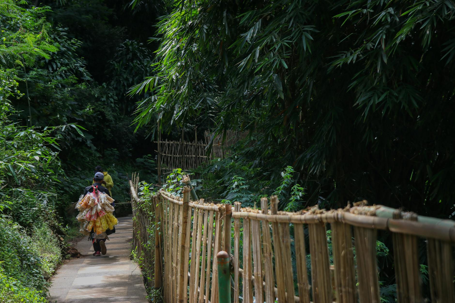 Green Living: Sustainable Practices for a Healthier Environment