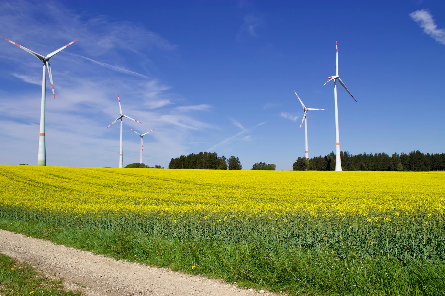 Green Living: How to Protect the Environment in Your Everyday Life