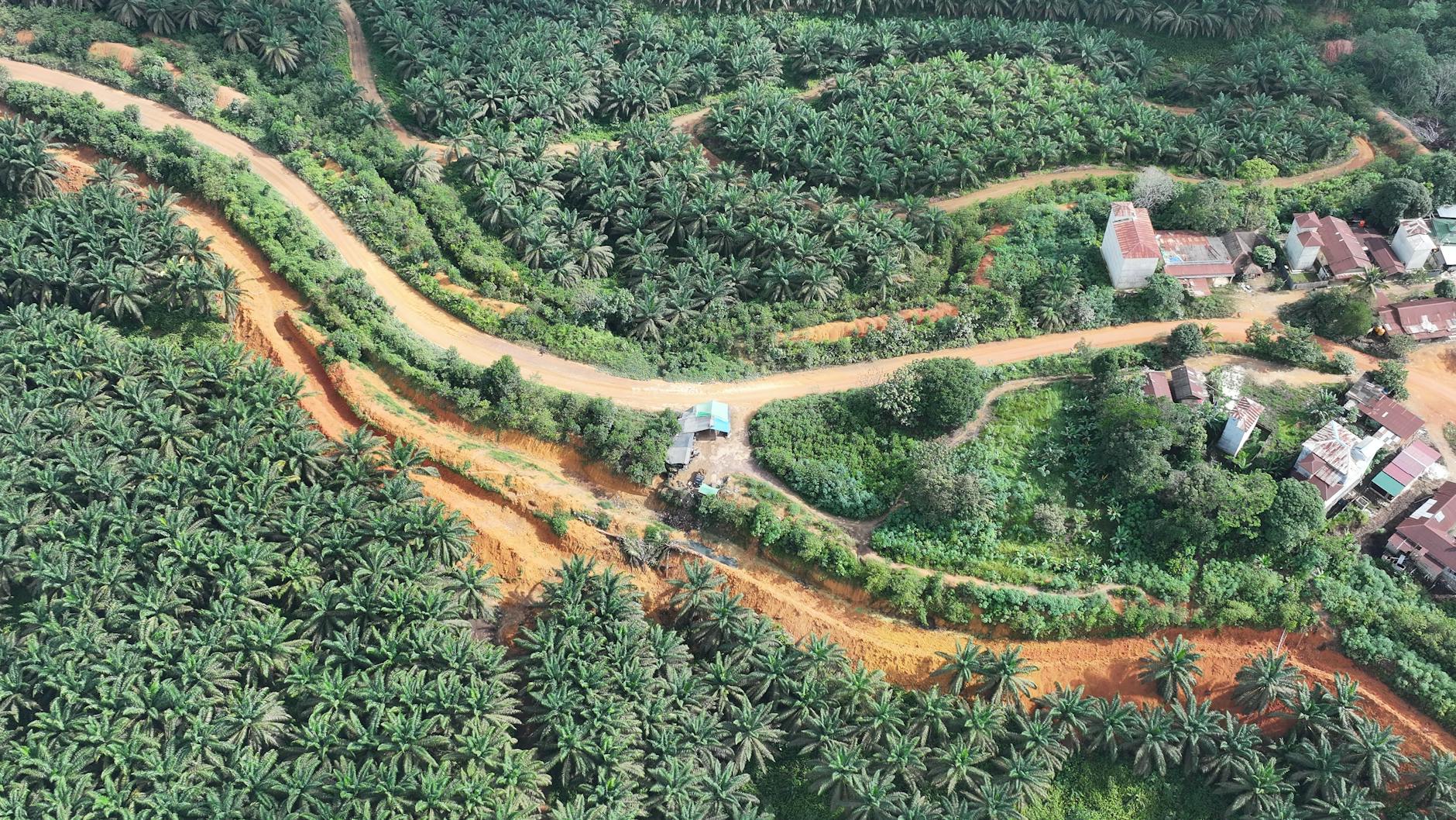 How to Save the Environment: Small Changes for a Big Impact