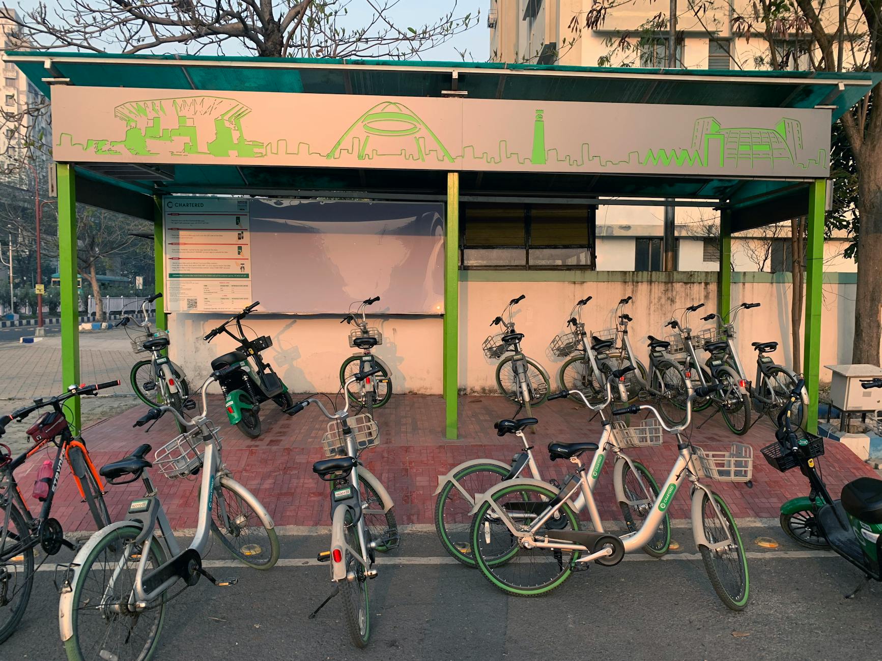 Sustainability in the Spotlight: Exploring the Environmental Impact of Everyday Choices