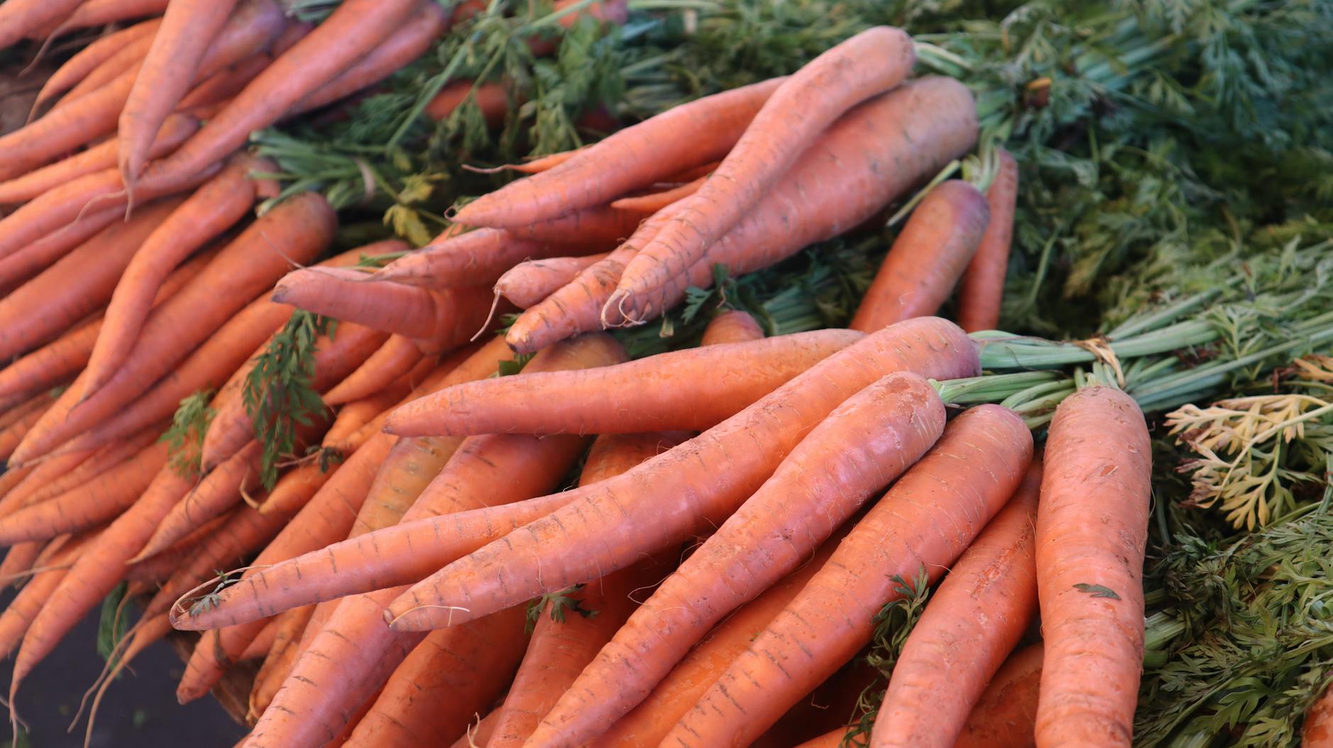 Green Living: Ways to Help the Environment and Reduce Your Carbon Footprint