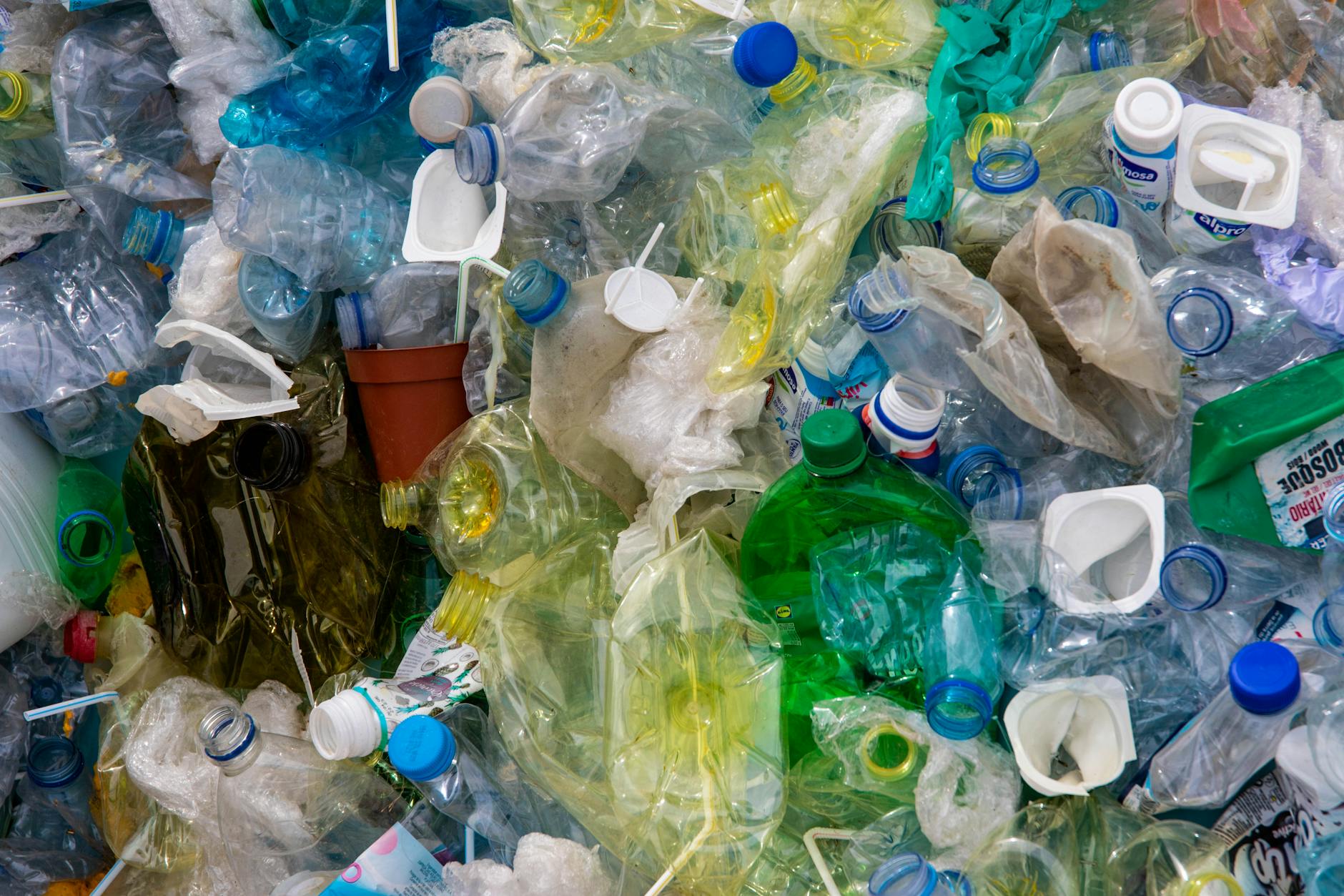 From Trash to Treasure: Innovative Solutions for a Greener Planet