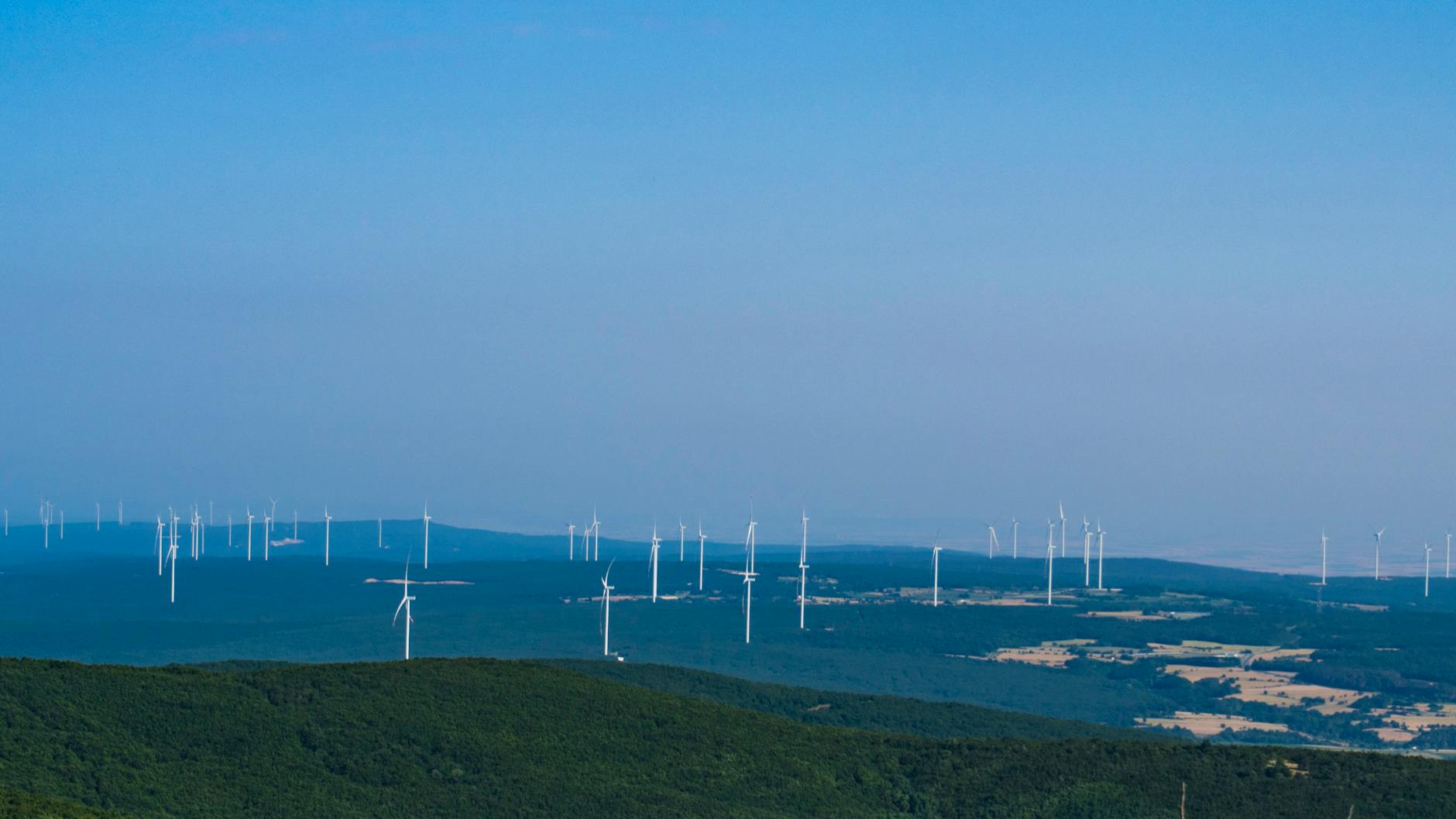 Sustainable Solutions: How Companies are Embracing Green Technology