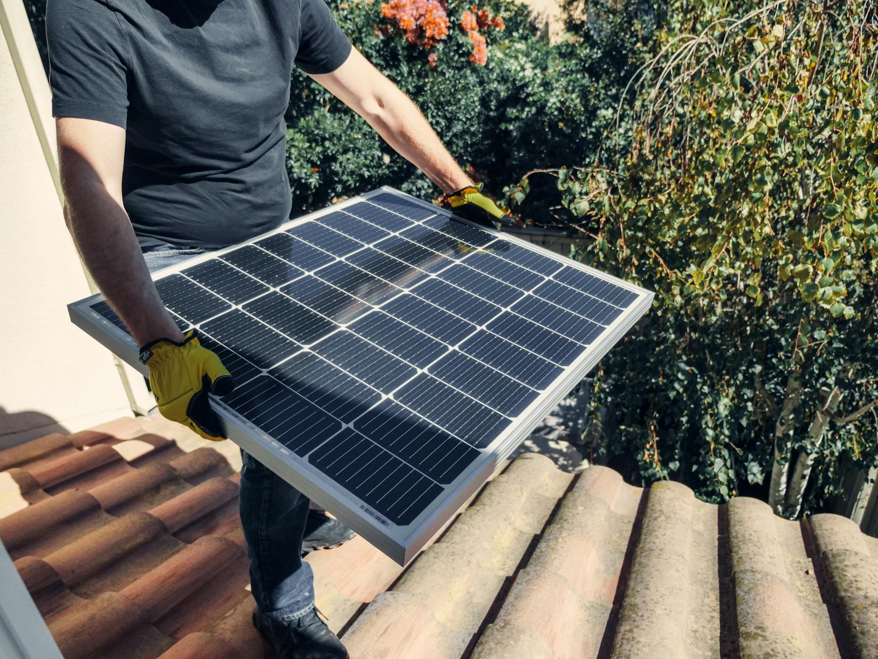Green Energy Revolution: How the Environment is Shaping the Economy