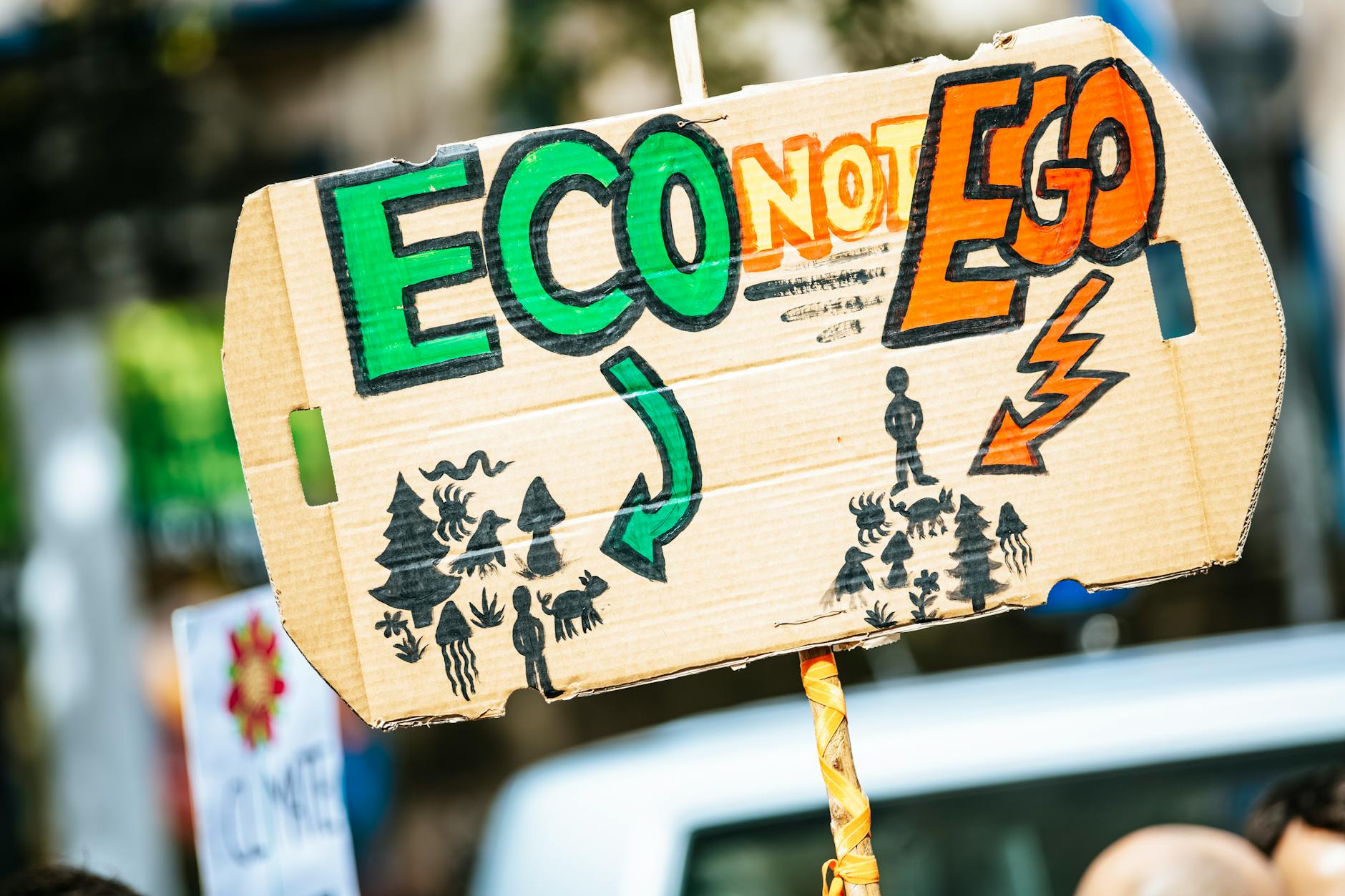 How Climate Change is Impacting Our Environment and What We Can Do About It