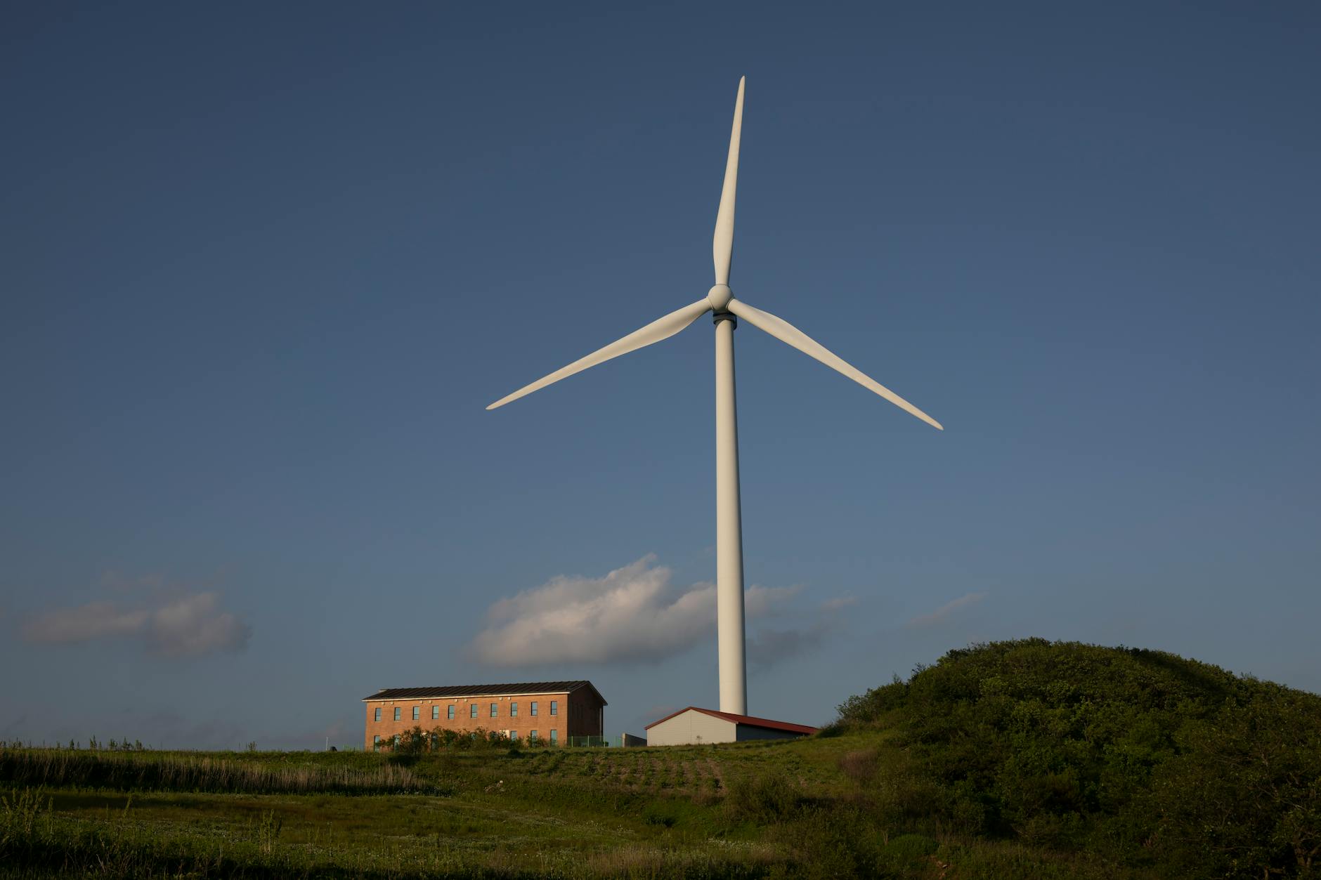 Sustainable Solutions: How Technology is Impacting the Environment