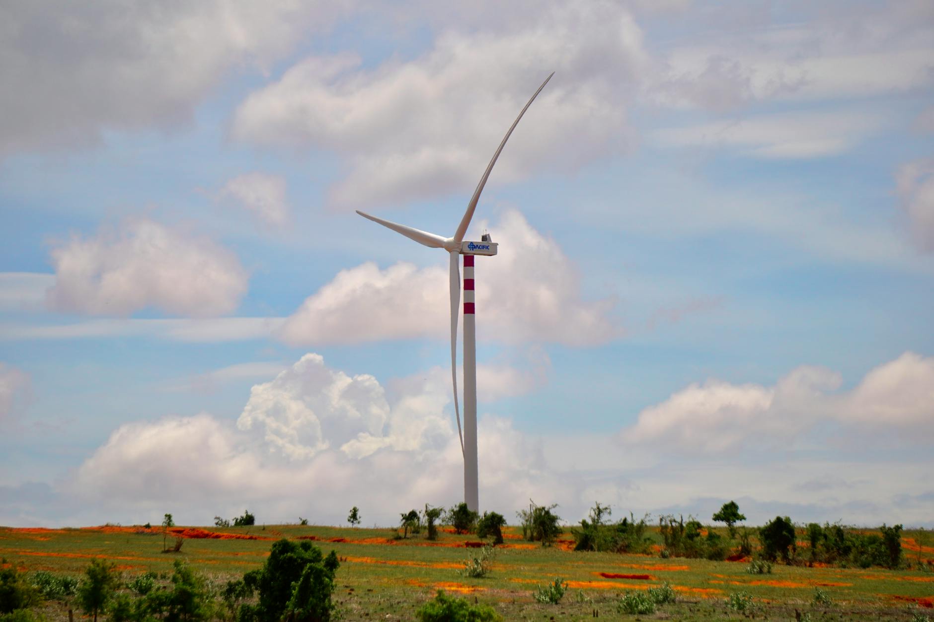 Sustainable Solutions: How Technology is Reducing Our Environmental Impact