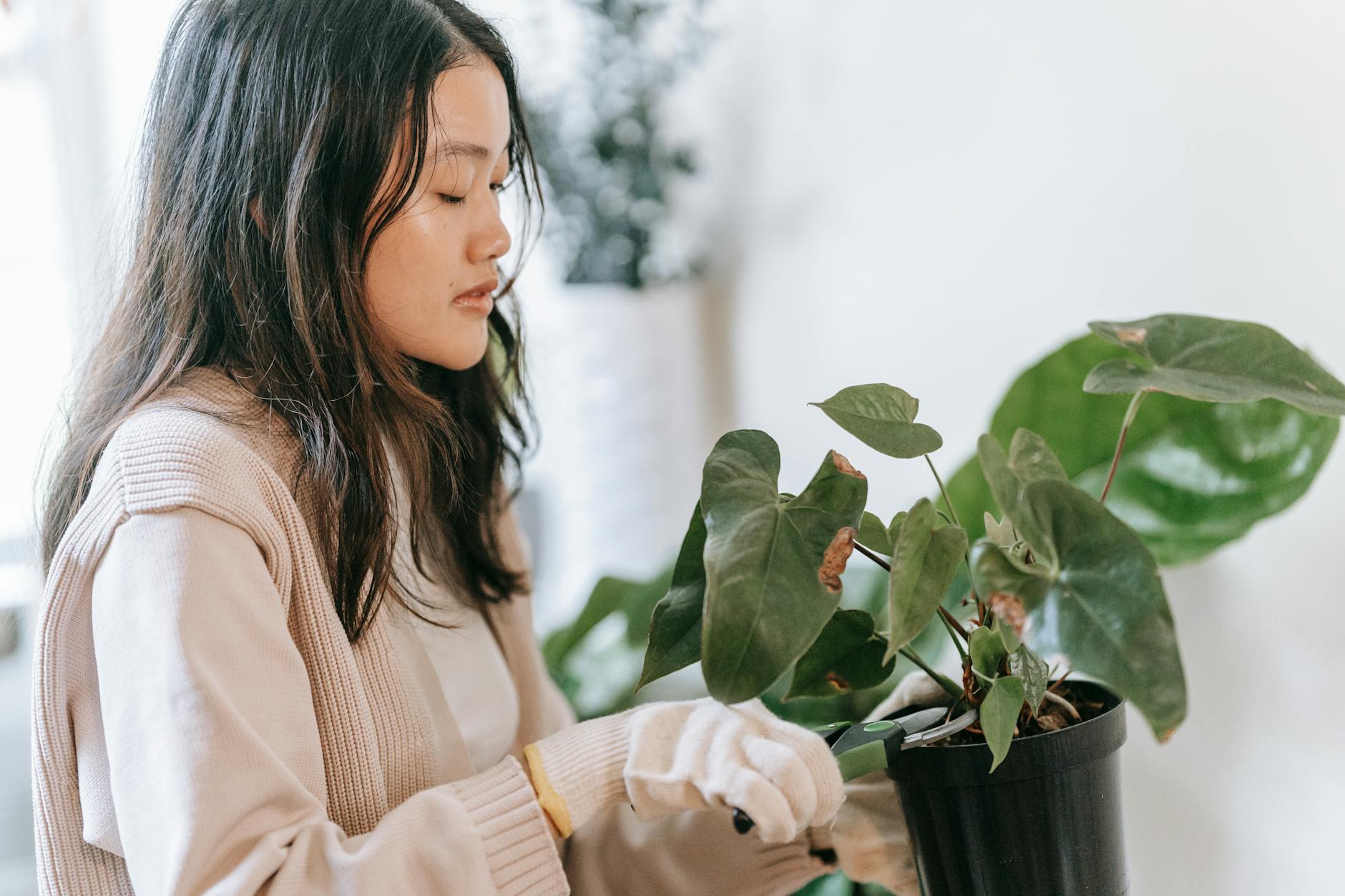 5 Eco-Friendly Practices That Will Save the Environment: Latest News