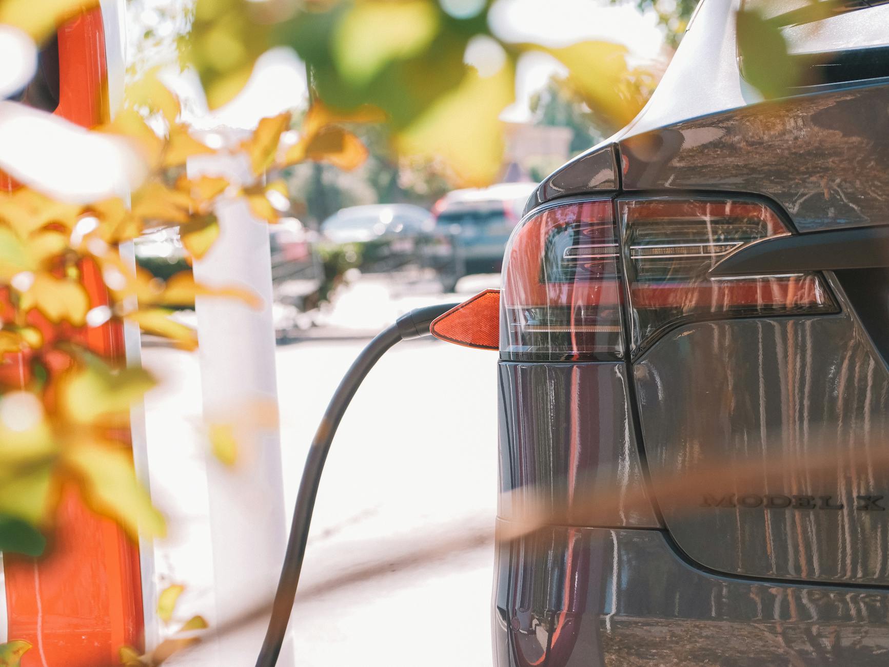 The Green Revolution: How Businesses are Embracing Environmental Sustainability