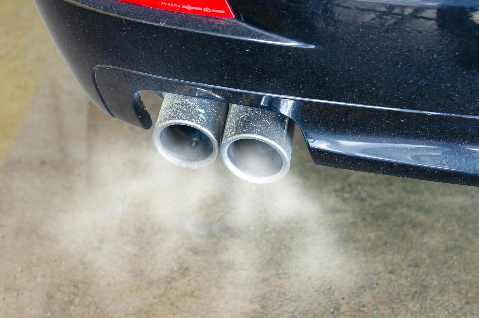 Sustainable Living: How to Reduce Your Carbon Footprint in 5 Easy Steps