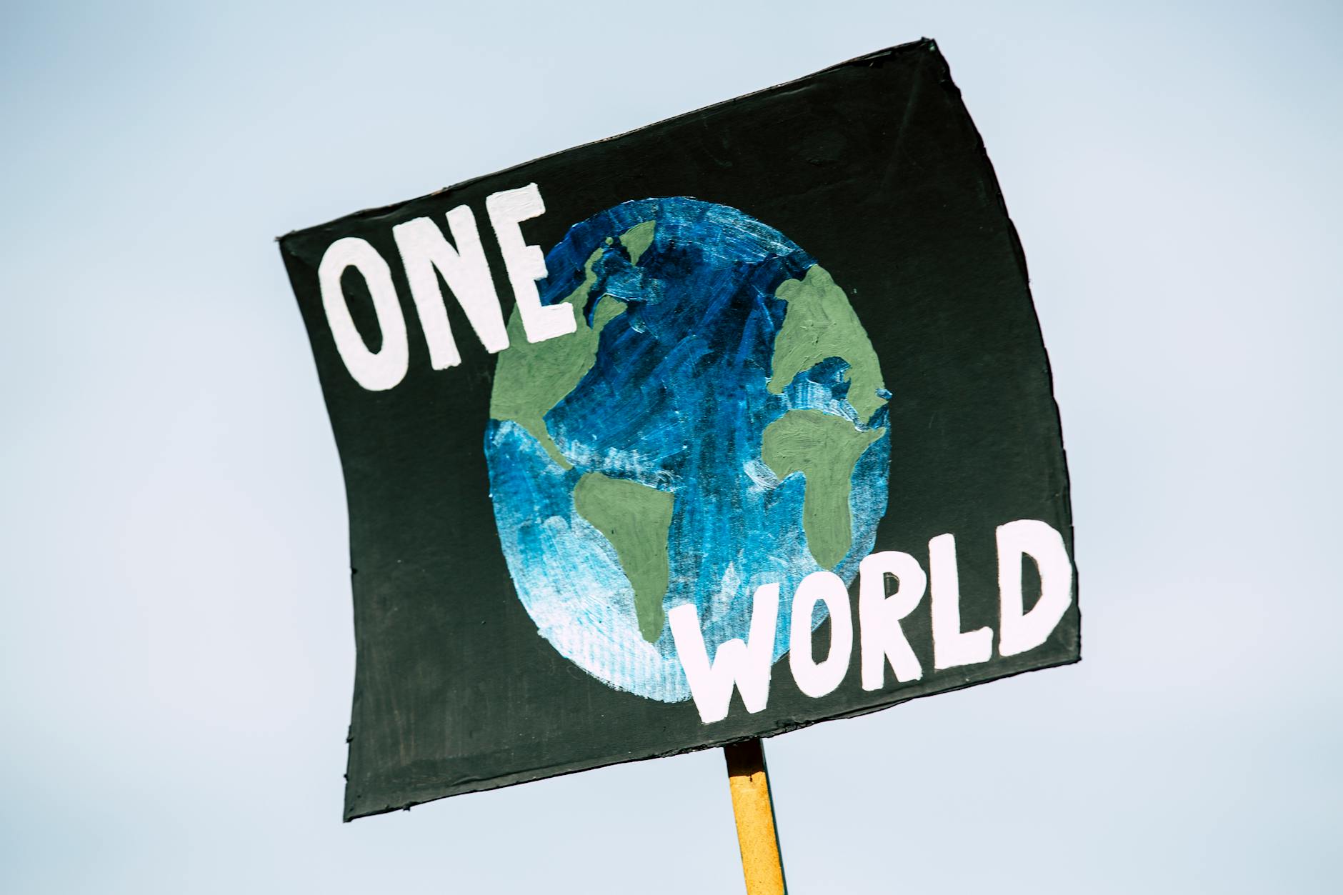 The Green Revolution: How Environmental Initiatives are Changing the World