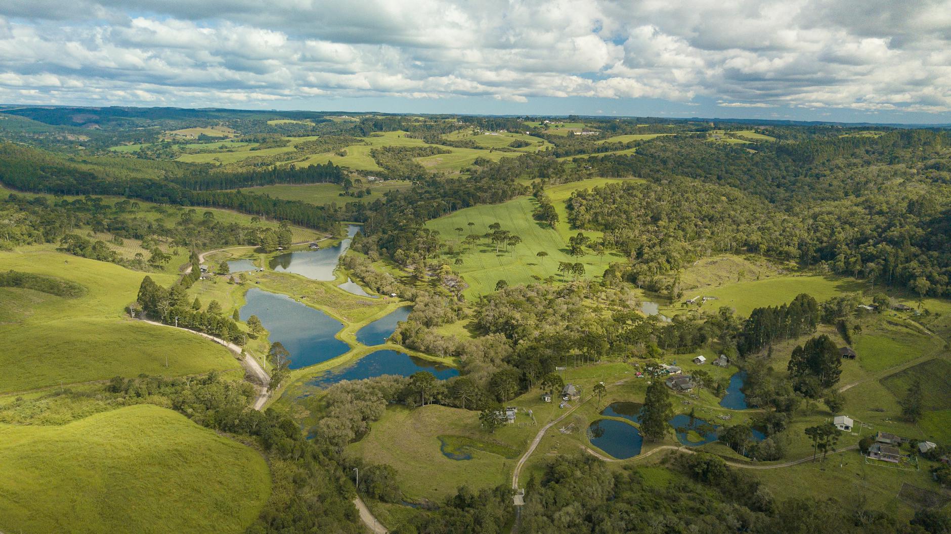 Breaking Down the Latest Environmental News and What it Means for the Planet