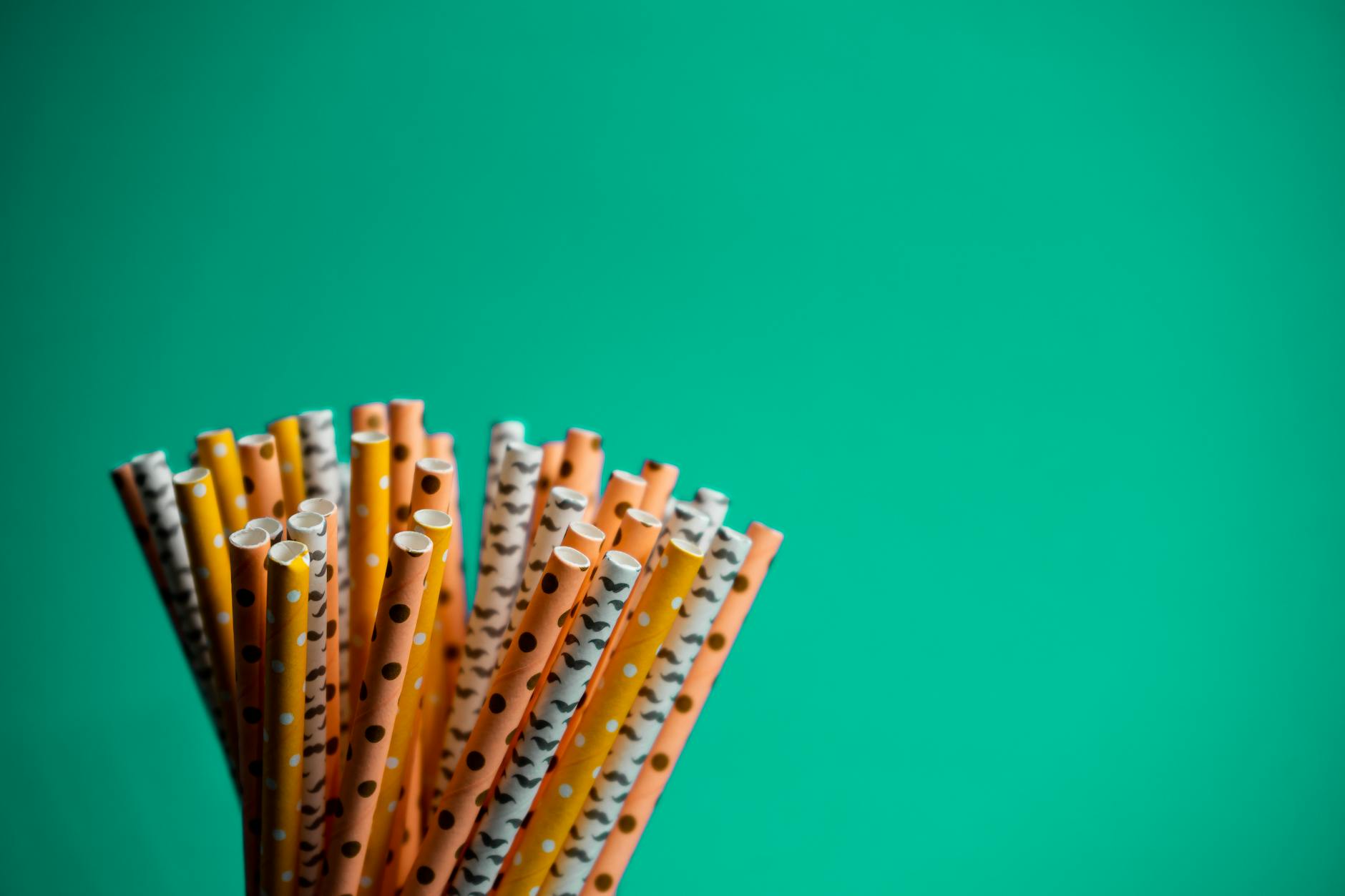 Sustainable Living: Eco-Friendly Tips for a Greener Planet