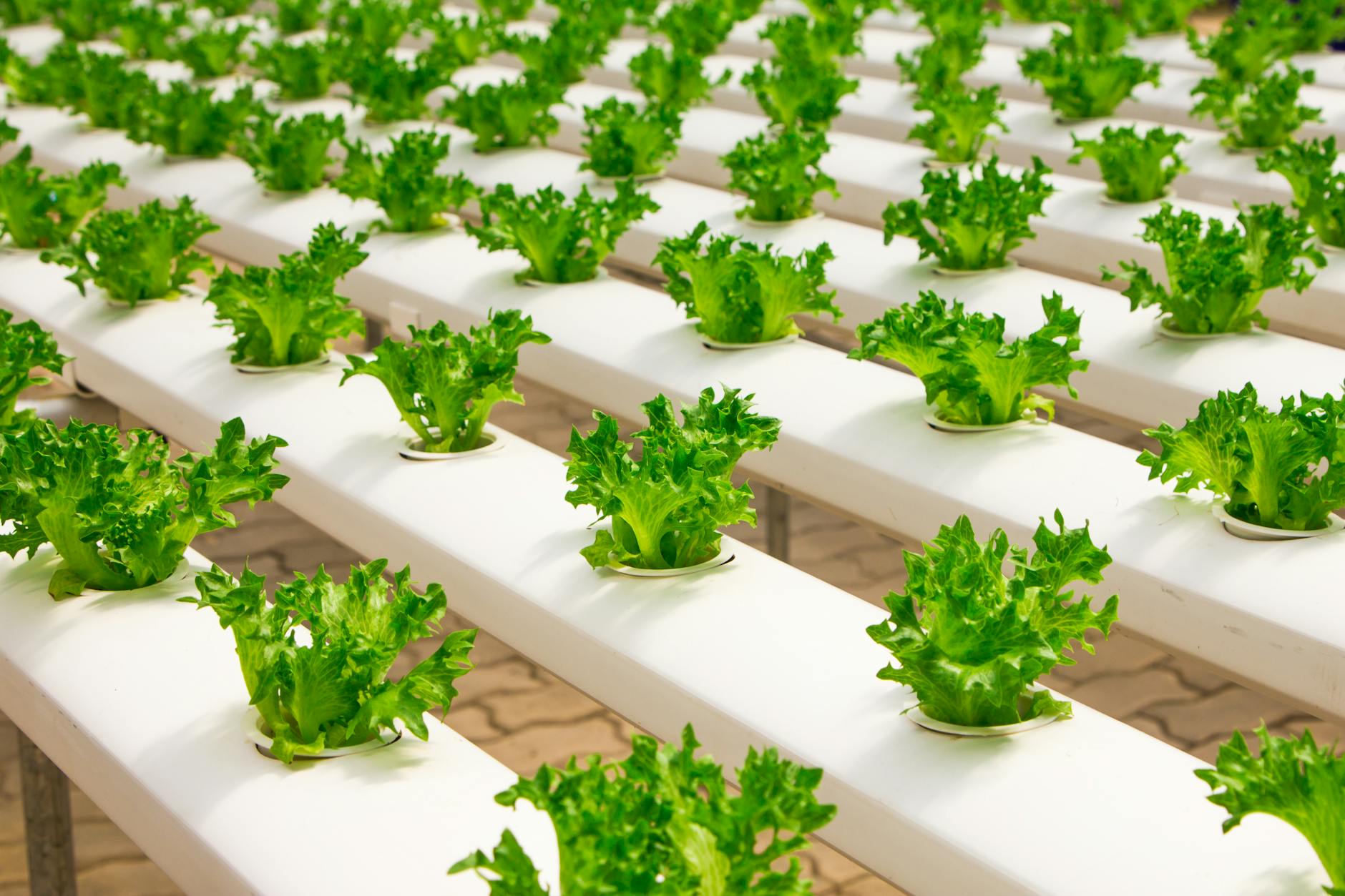 Sustainable Practices for a Healthier Environment