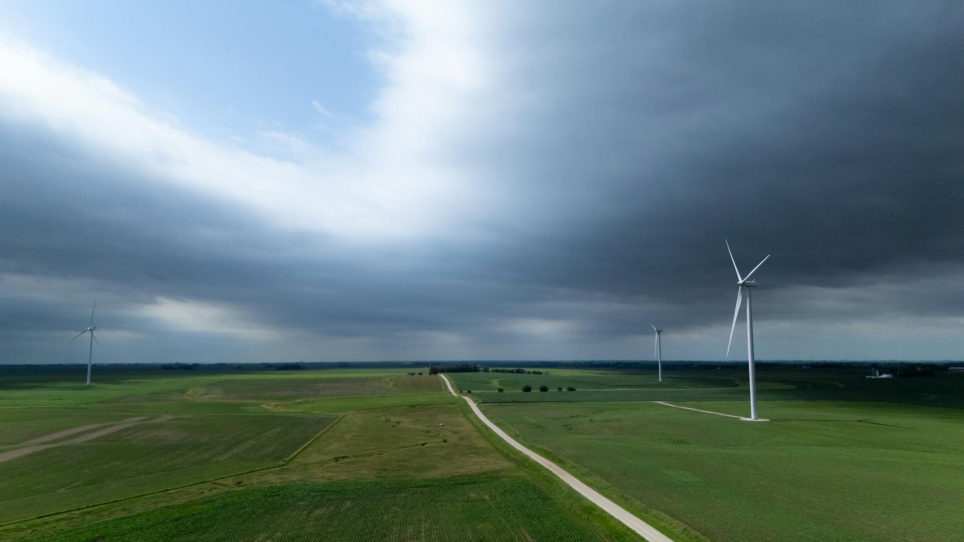 Green is the New Black: How Environmental Consciousness is Shaping Industries