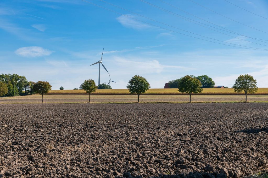 Wind turbines and fields with trees on a sunny day, showcasing sustainable energy.