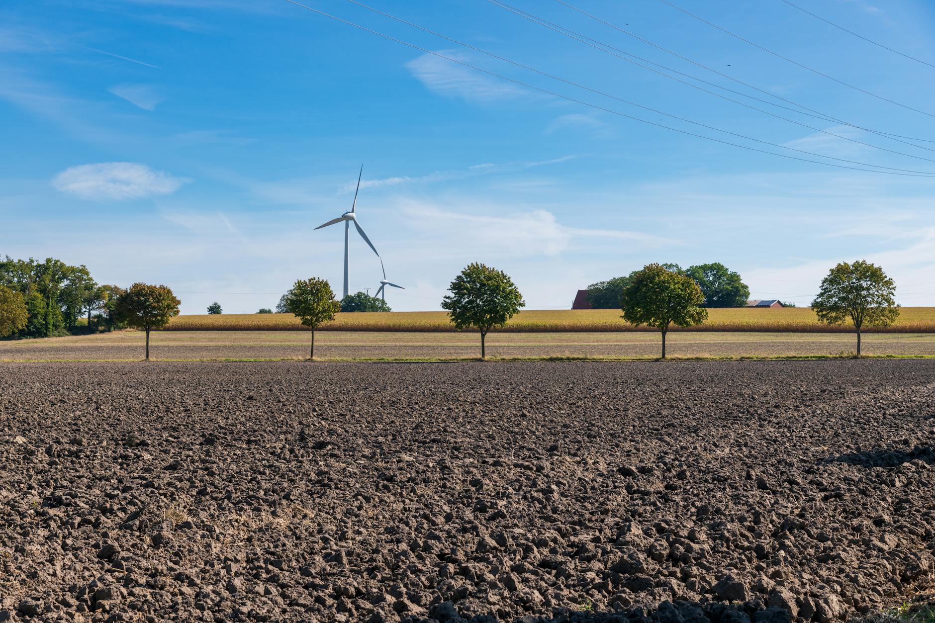 Green Innovations: How Technology is Reshaping Our Environment for a Sustainable Future