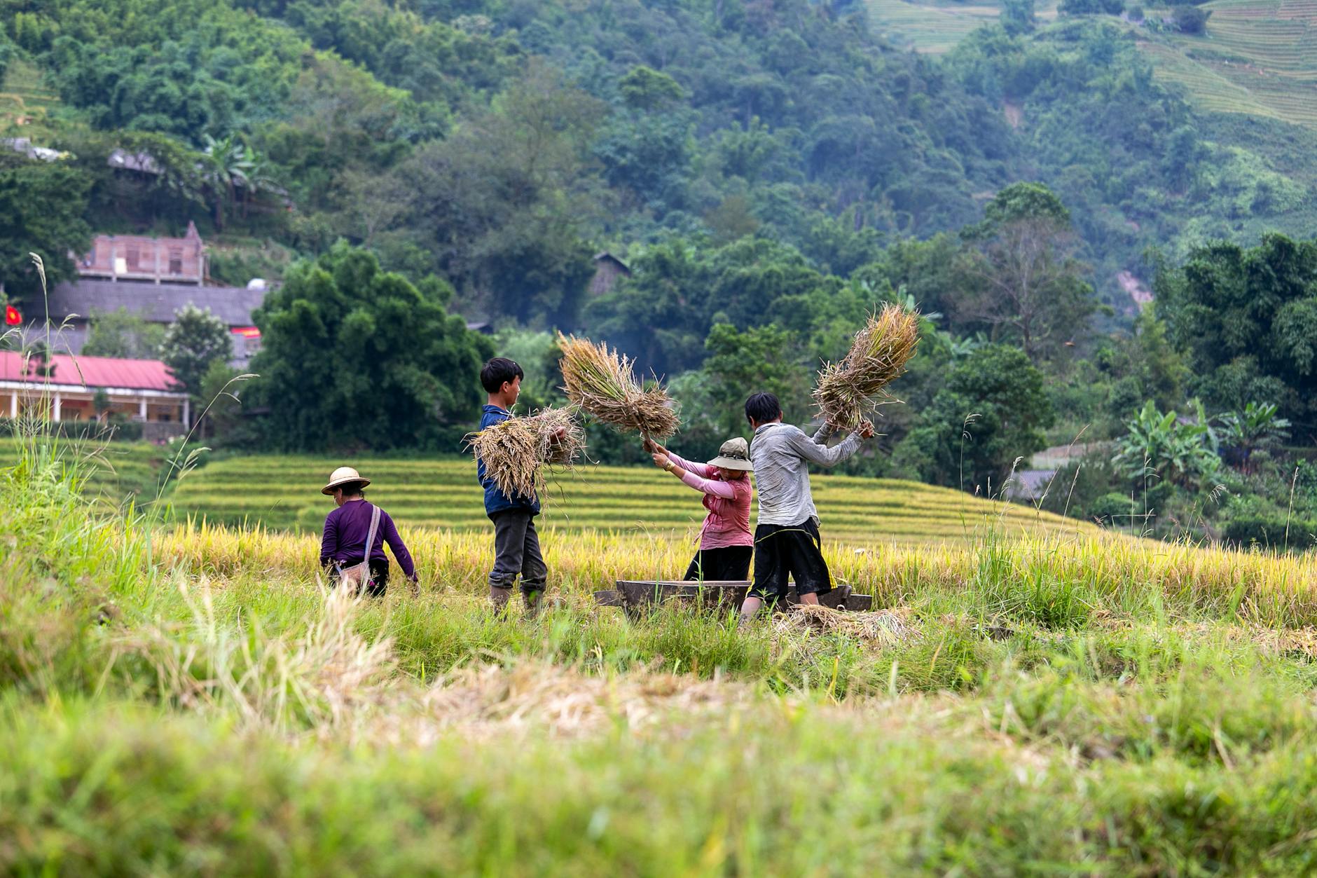 Emerging Titans: How India and China are Shaping the Future of Global Economies