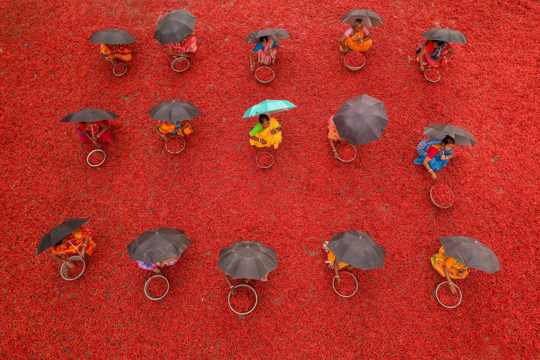 Emerging Titans: The Rise of India’s Economic Landscape and Opportunities for Growth