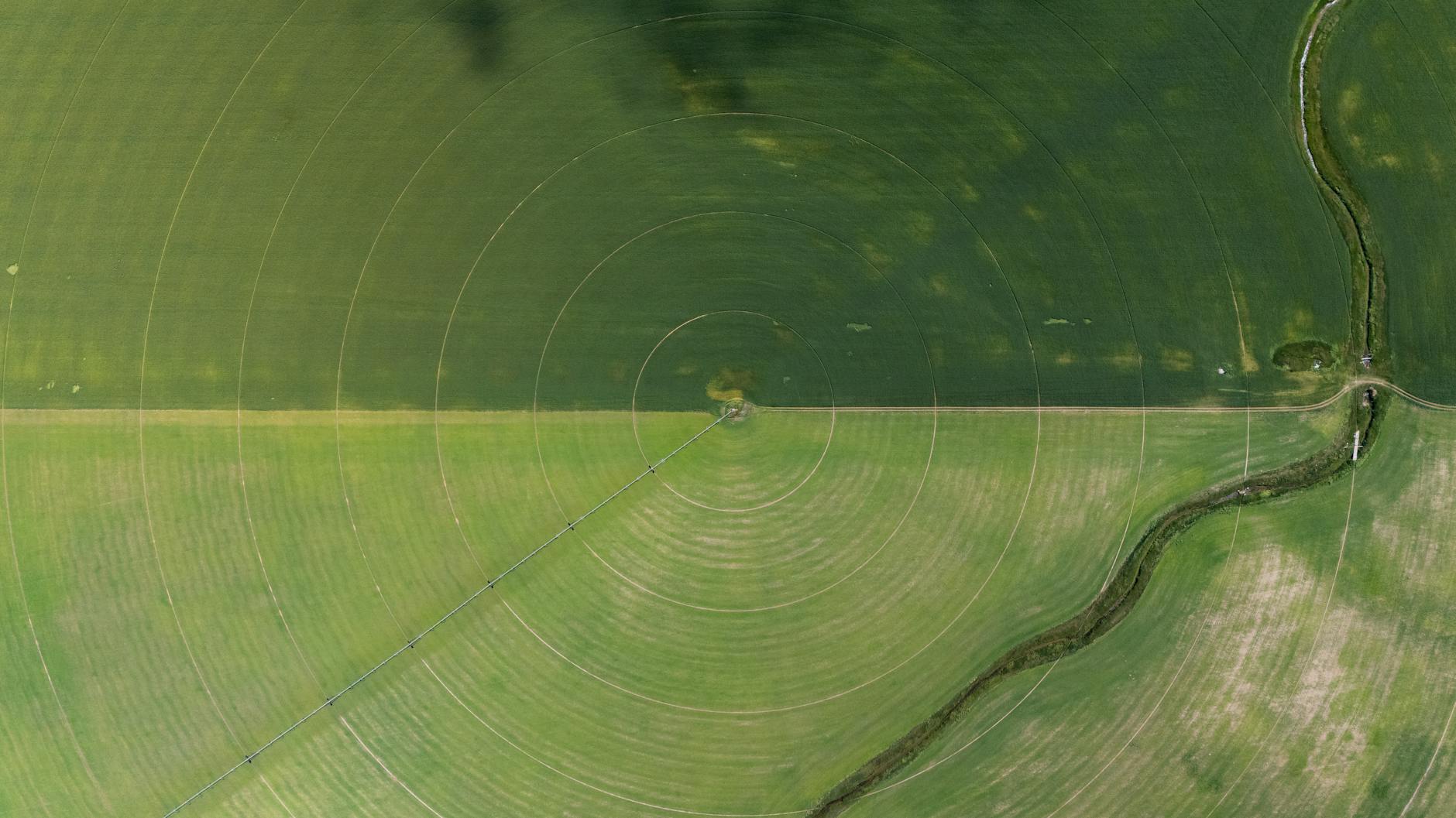 Green Innovations: How Technology is Shaping a Sustainable Future