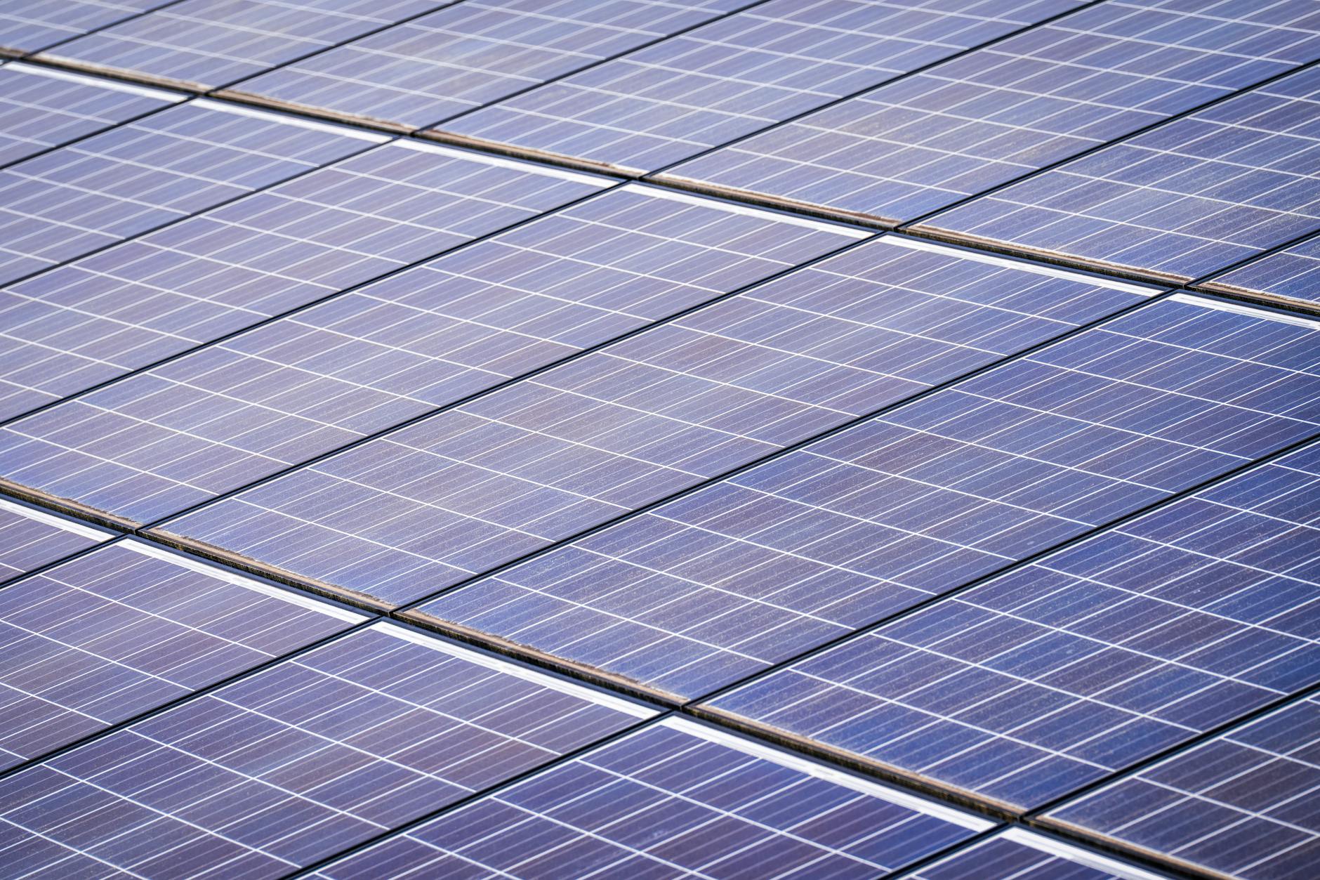 The Green Tech Revolution: How Innovation is Powering a Sustainable Future