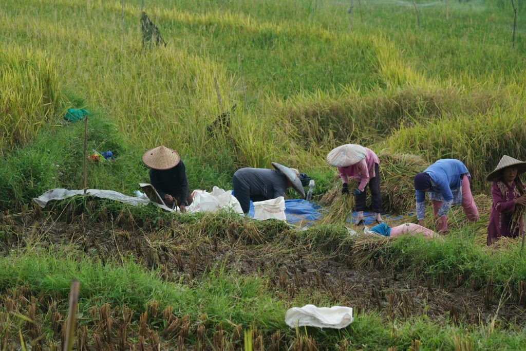 Greener Futures: How Technology is Paving the Way for a Sustainable Environment